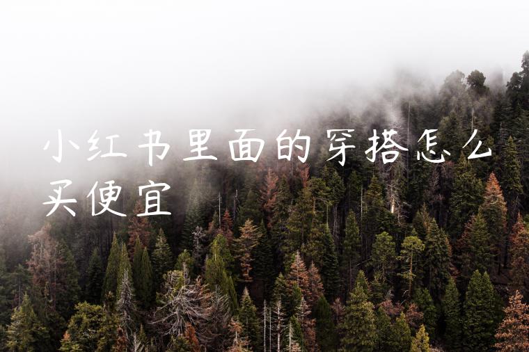 小红书里面的穿搭怎么买便宜 小红书里面的穿搭怎么买便宜