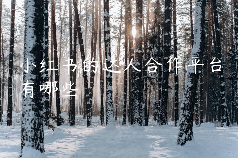 小红书的达人合作平台有哪些