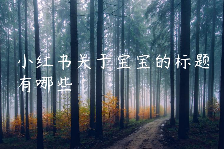 小红书关于宝宝的标题有哪些