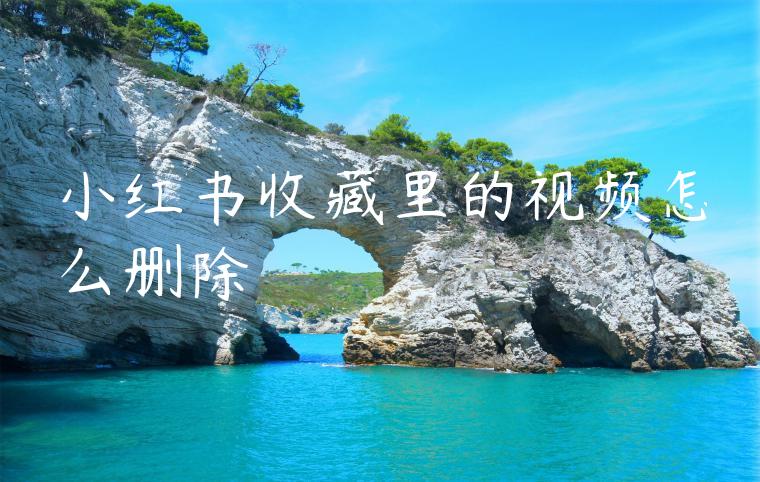 小红书收藏里的视频怎么删除