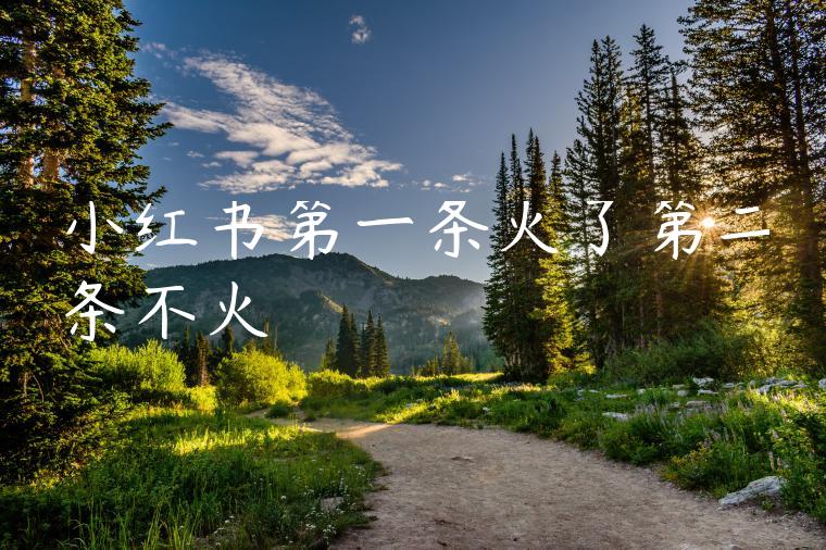 小红书第一条火了第二条不火 小红书第一条火了第二条不火