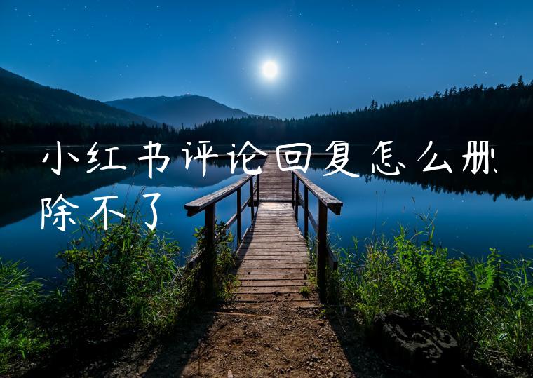 小红书评论回复怎么删除不了