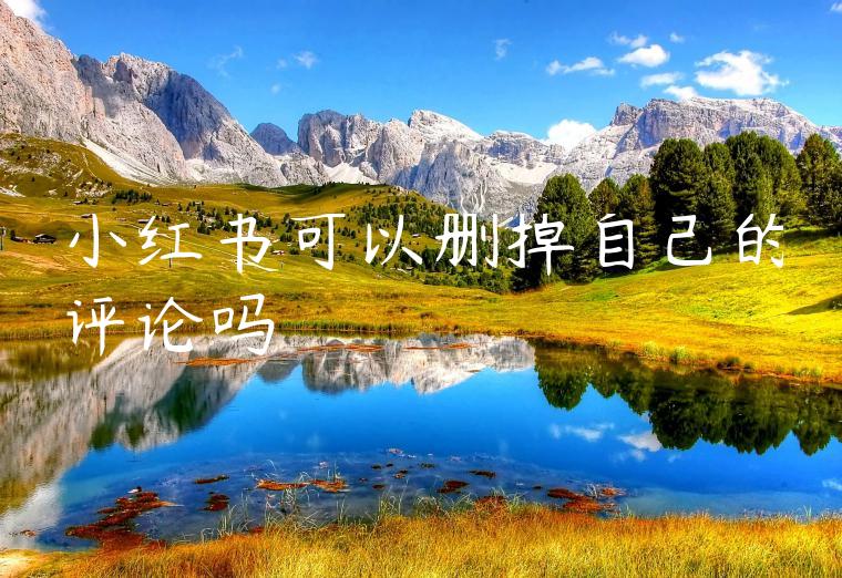 小红书可以删掉自己的评论吗 小红书可以删掉自己的评论吗