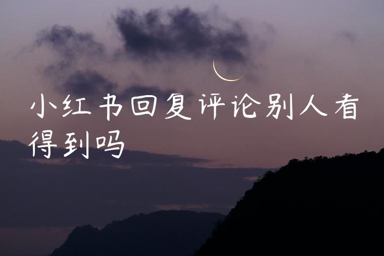 小红书回复评论别人看得到吗