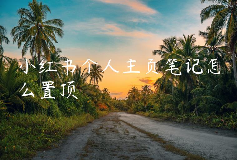 小红书个人主页笔记怎么置顶 小红书个人主页笔记怎么置顶