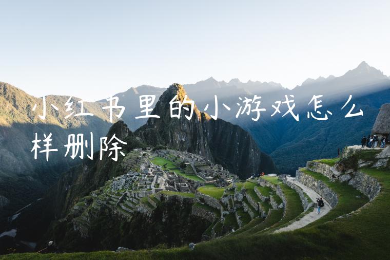 小红书里的小游戏怎么样删除