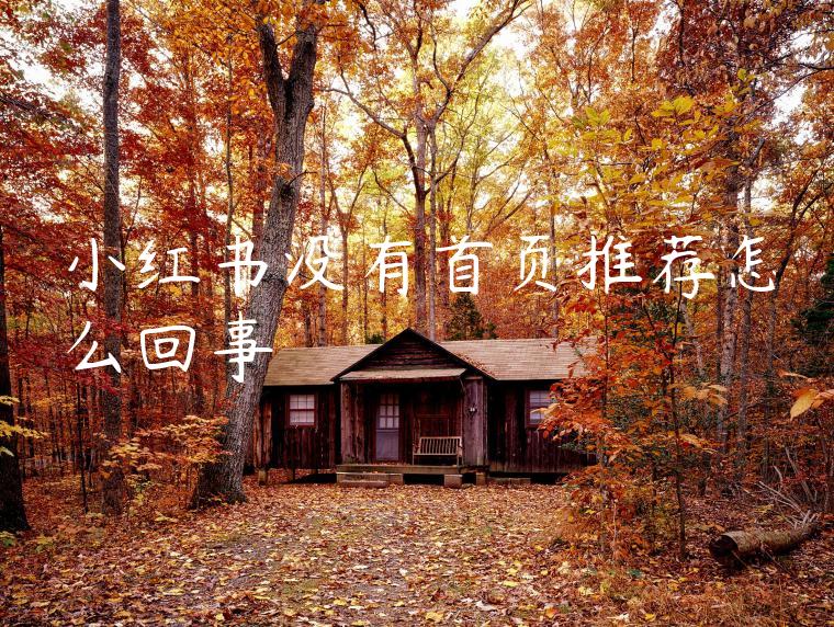 小红书没有首页推荐怎么回事 小红书没有首页推荐怎么回事