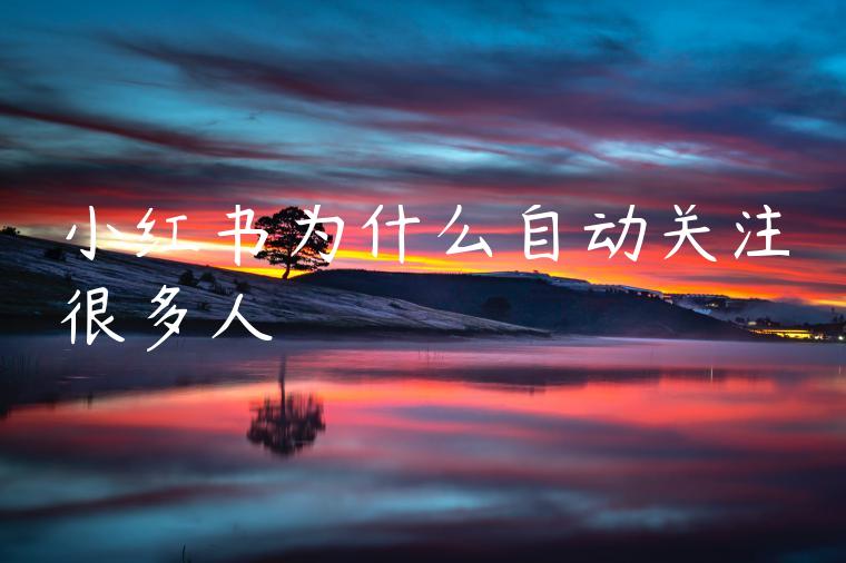 小红书为什么自动关注很多人