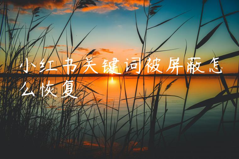 小红书关键词被屏蔽怎么恢复