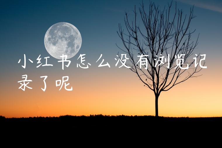 小红书怎么没有浏览记录了呢 小红书怎么没有浏览记录了呢