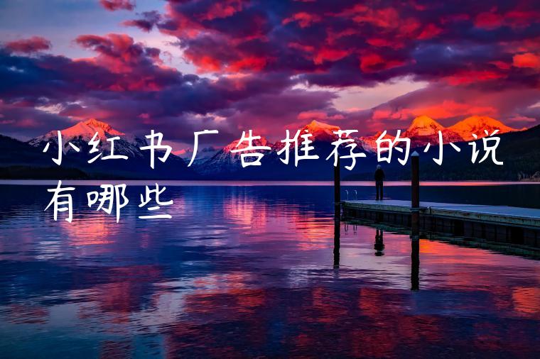 小红书广告推荐的小说有哪些