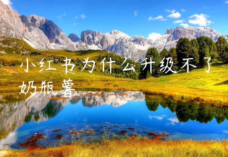 小红书为什么升级不了奶瓶薯