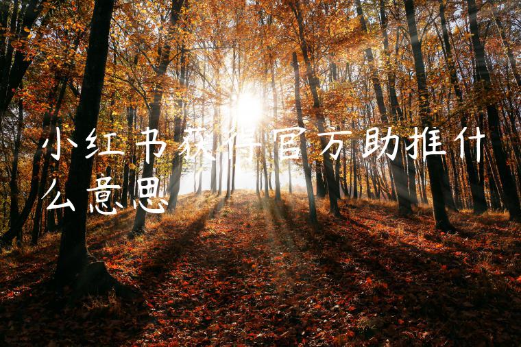 小红书获得官方助推什么意思 小红书获得官方助推什么意思