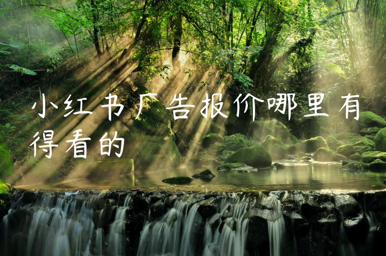 小红书广告报价哪里有得看的 小红书广告报价哪里有得看的