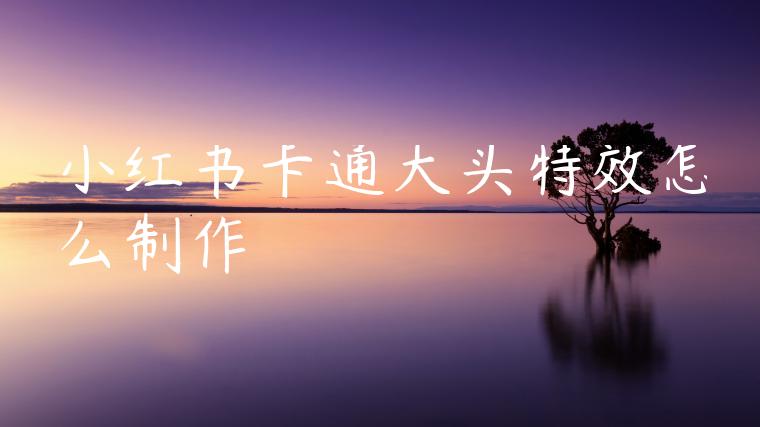 小红书卡通大头特效怎么制作 小红书卡通大头特效怎么制作