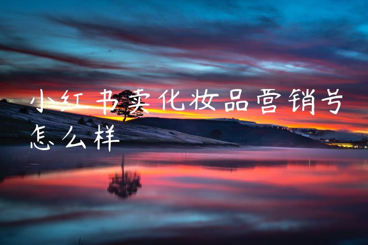 小红书卖化妆品营销号怎么样 小红书卖化妆品营销号怎么样