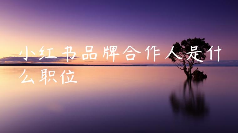 小红书品牌合作人是什么职位 小红书品牌合作人是什么职位