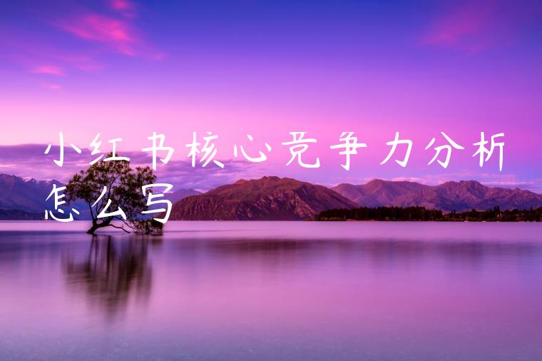 小红书核心竞争力分析怎么写