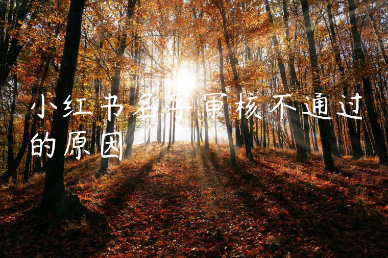 小红书名字审核不通过的原因 小红书名字审核不通过的原因