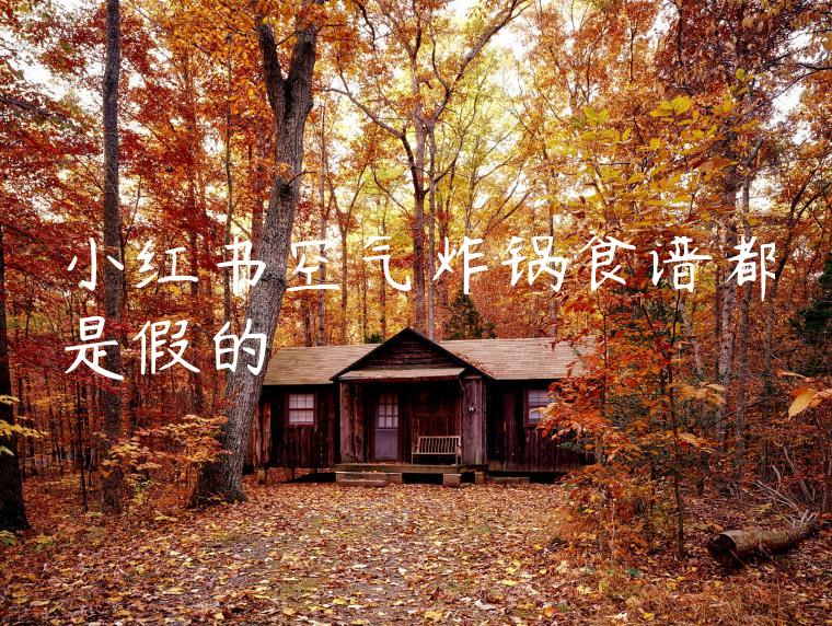 小红书空气炸锅食谱都是假的 小红书空气炸锅食谱都是假的