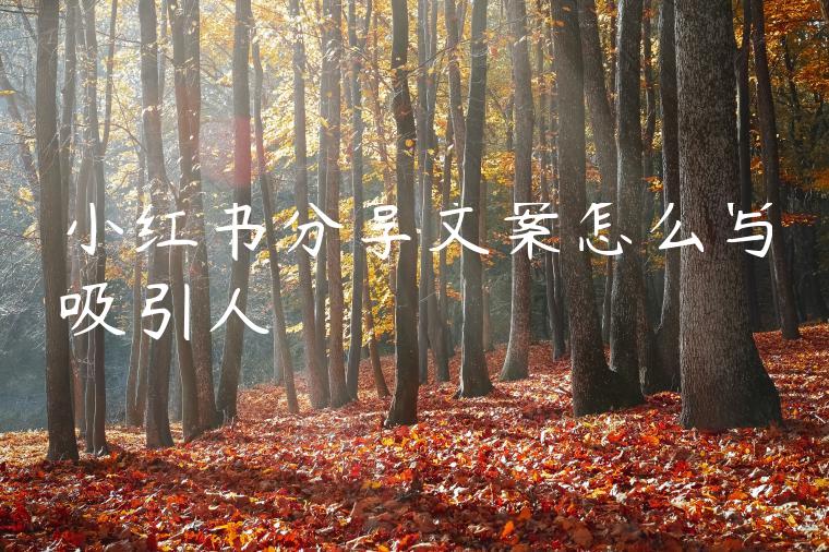 小红书分享文案怎么写吸引人 小红书分享文案怎么写吸引人