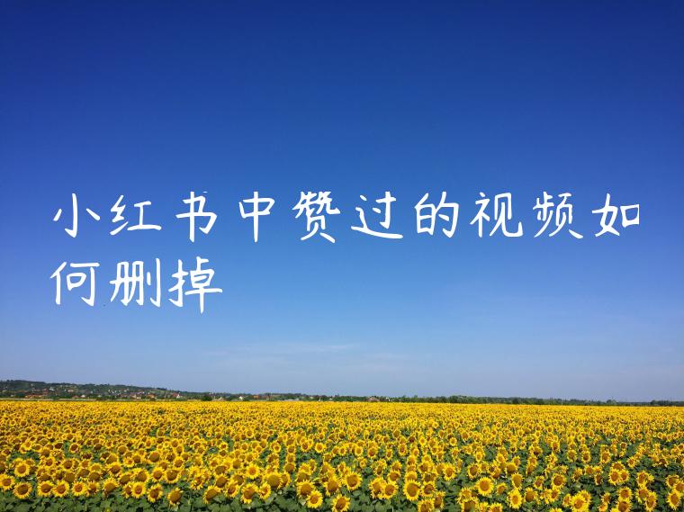 小红书中赞过的视频如何删掉 小红书中赞过的视频如何删掉