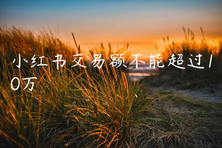 小红书交易额不能超过10万 小红书交易额不能超过10万