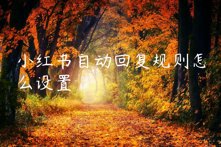 小红书自动回复规则怎么设置 小红书自动回复规则怎么设置
