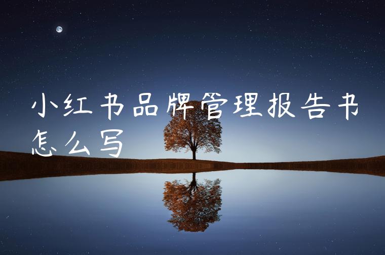 小红书品牌管理报告书怎么写