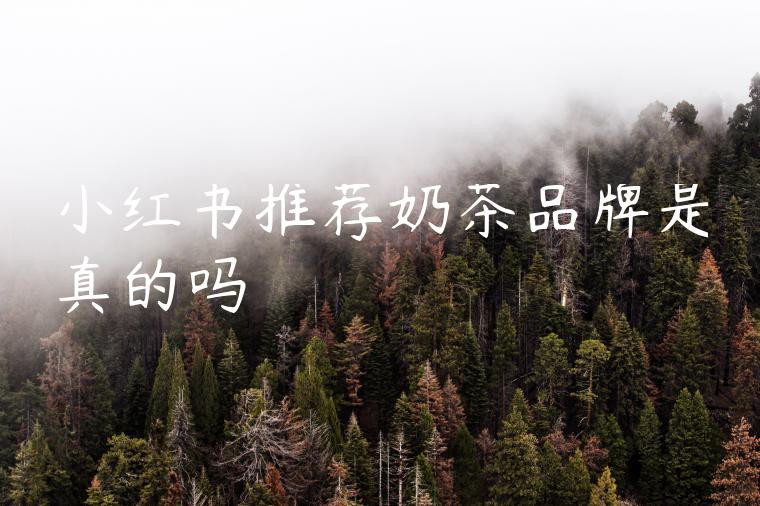 小红书推荐奶茶品牌是真的吗