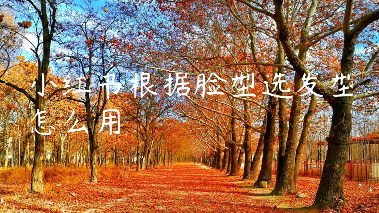 小红书根据脸型选发型怎么用 小红书根据脸型选发型怎么用