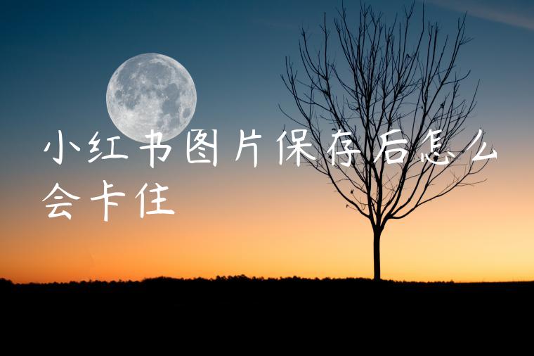 小红书图片保存后怎么会卡住