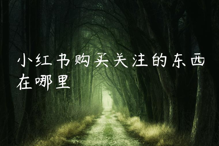 小红书购买关注的东西在哪里