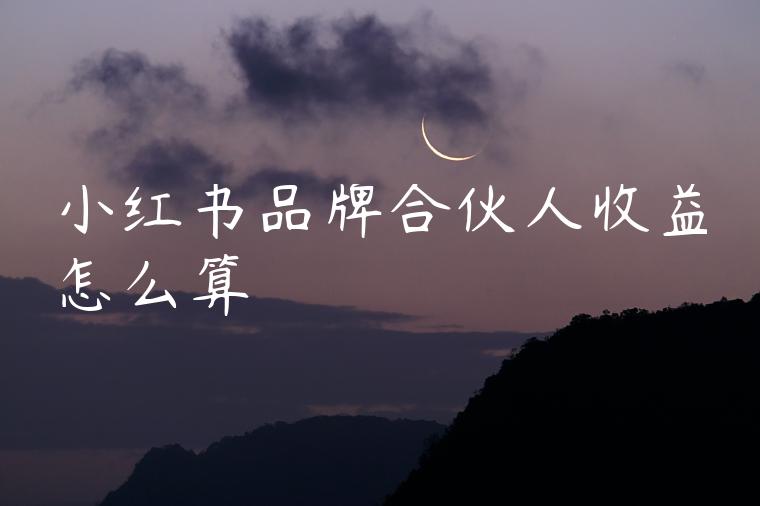 小红书品牌合伙人收益怎么算