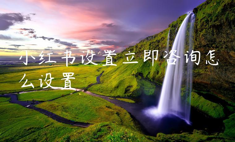 小红书设置立即咨询怎么设置 小红书设置立即咨询怎么设置