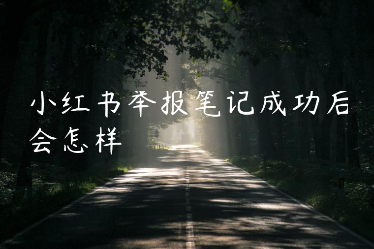 小红书举报笔记成功后会怎样