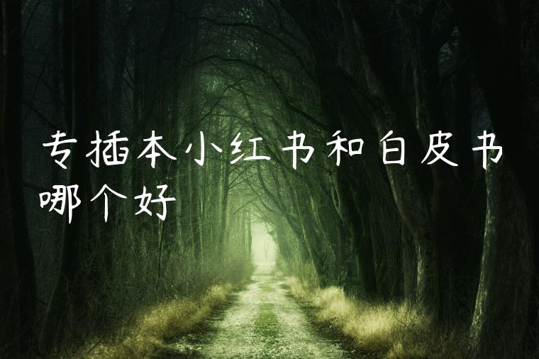 专插本小红书和白皮书哪个好