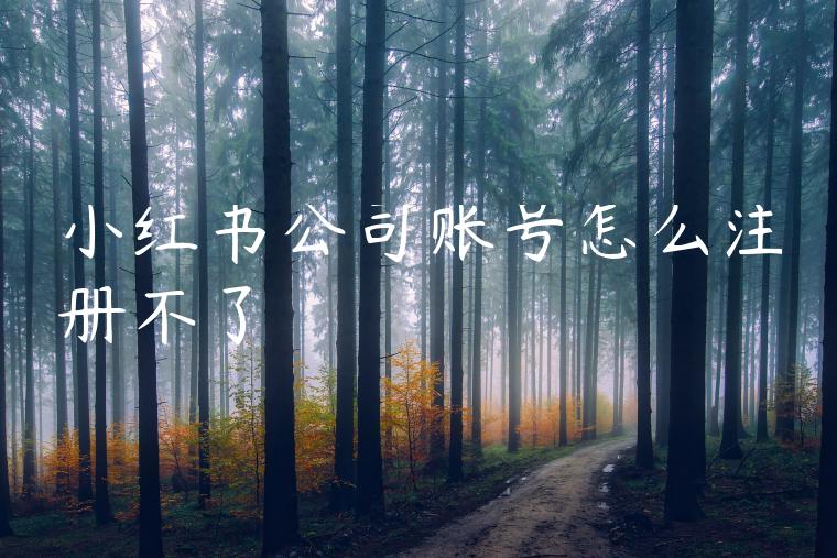 小红书公司账号怎么注册不了
