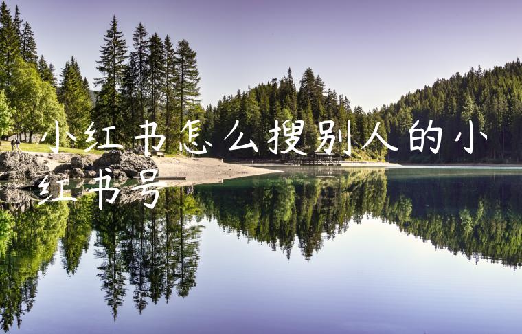 小红书怎么搜别人的小红书号 小红书怎么搜别人的小红书号