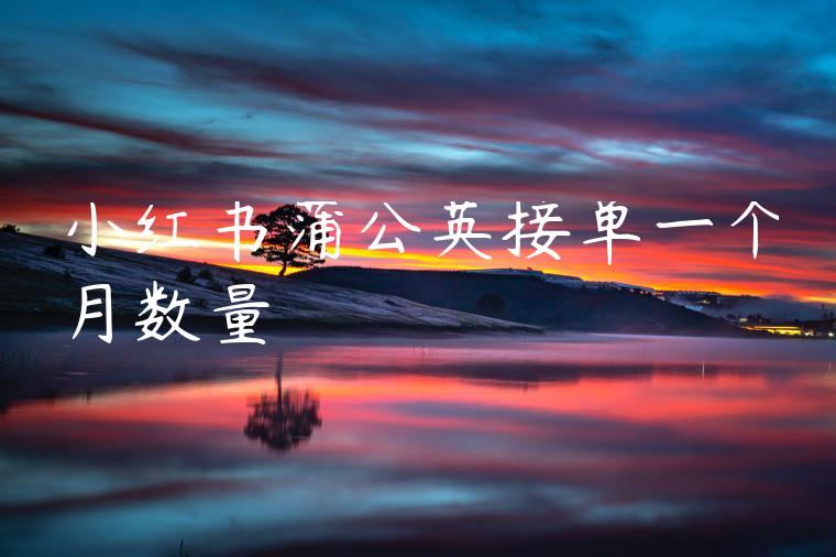 小红书蒲公英接单一个月数量