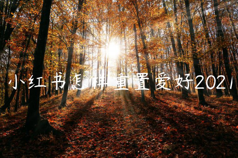 小红书怎样重置爱好2021