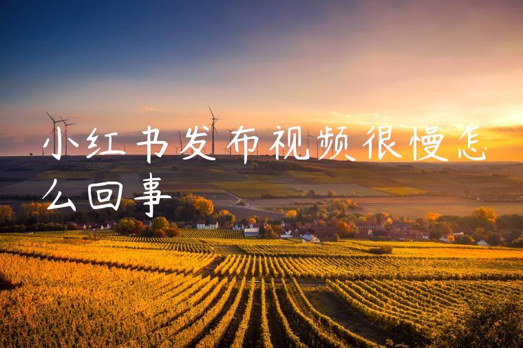 小红书发布视频很慢怎么回事