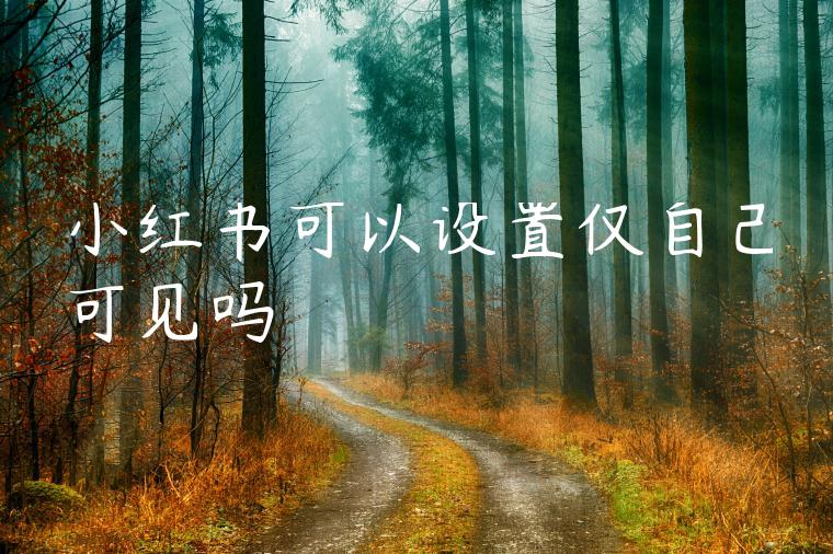 小红书可以设置仅自己可见吗 小红书可以设置仅自己可见吗