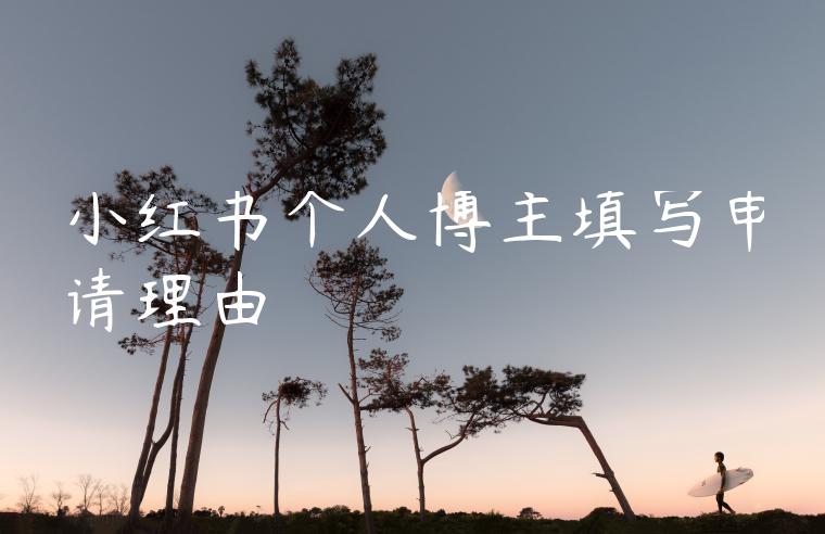 小红书个人博主填写申请理由