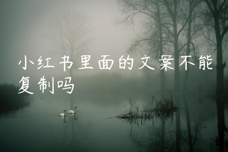 小红书里面的文案不能复制吗