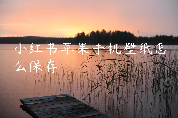 小红书苹果手机壁纸怎么保存 小红书苹果手机壁纸怎么保存