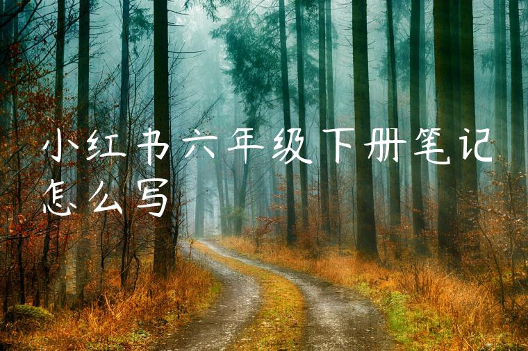 小红书六年级下册笔记怎么写