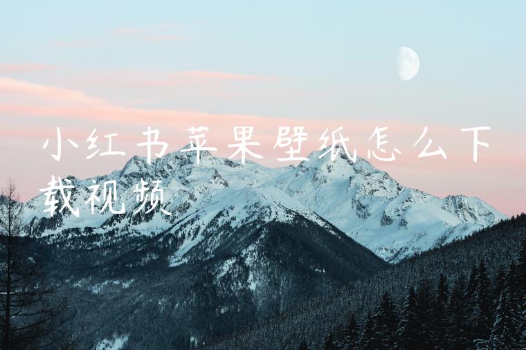 小红书苹果壁纸怎么下载视频