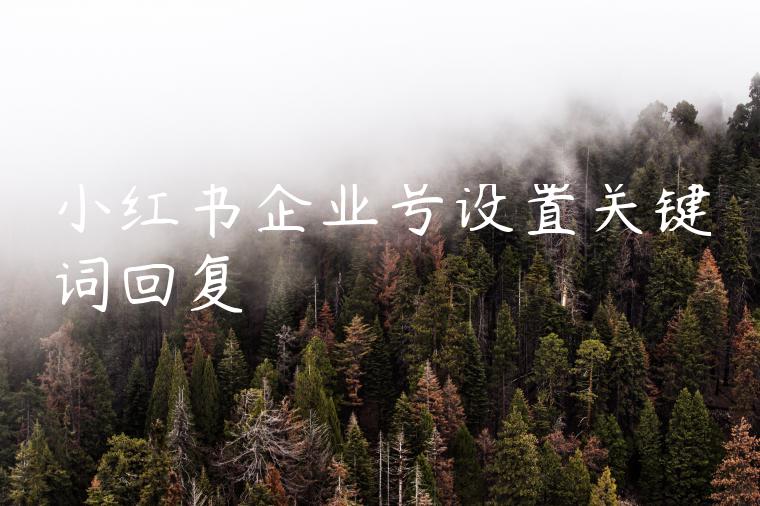 小红书企业号设置关键词回复