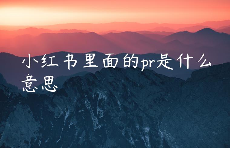 小红书里面的pr是什么意思 小红书里面的pr是什么意思